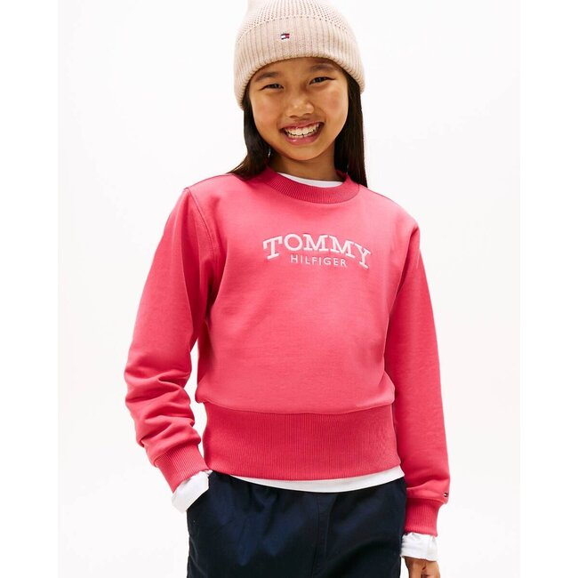 HIGH RIB HEM CREW NE, XI5 Vintage Cerise