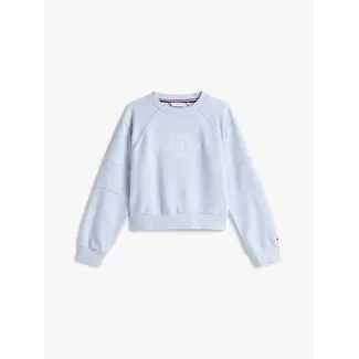 Tommy Hilfiger TOMMY SCRIPT CN SWEA, C1O C1O Breezy Blue