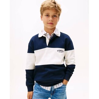 Tommy Hilfiger COLOURBLOCK POLO LS, C1G Dark Night Navy Colourblock