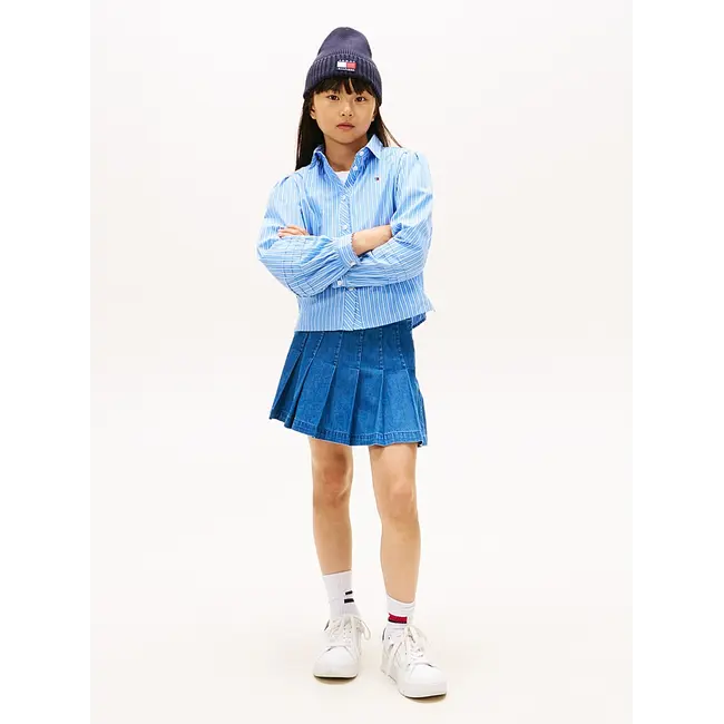 ITHICA SHIRT, C1T Light Powdery Blue Stripes