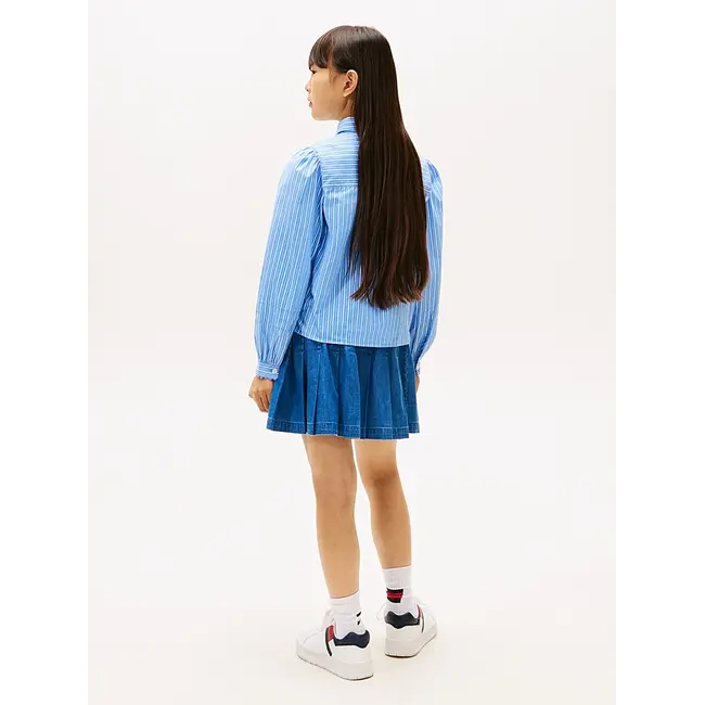 ITHICA SHIRT, C1T Light Powdery Blue Stripes