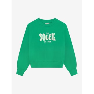 Indian Blue Jeans Sweater Soleil Green 9009 simply green