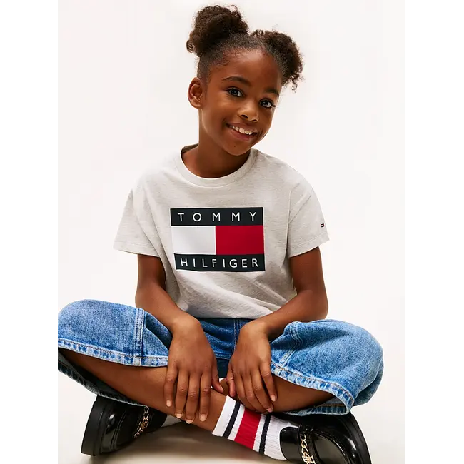 HERITAGE FLAG T-SHIR, P01 Light Grey Heather