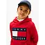 HERITAGE FLAG HOODIE, XLG Primary Red