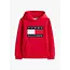 HERITAGE FLAG HOODIE, XLG Primary Red