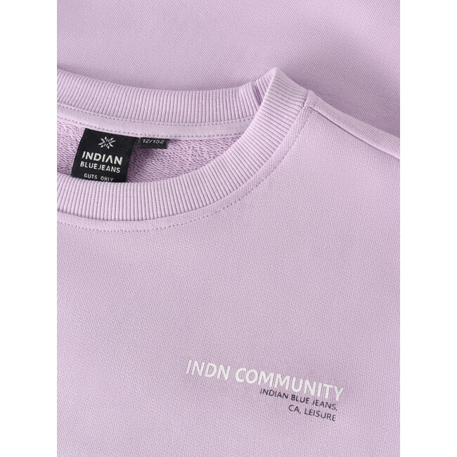 Loose Fit Sweat Backprint Purple 6193 Fair Orchid