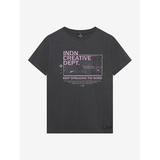 Indian Blue Jeans T-Shirt Creative Grey 1288 Washed Grey