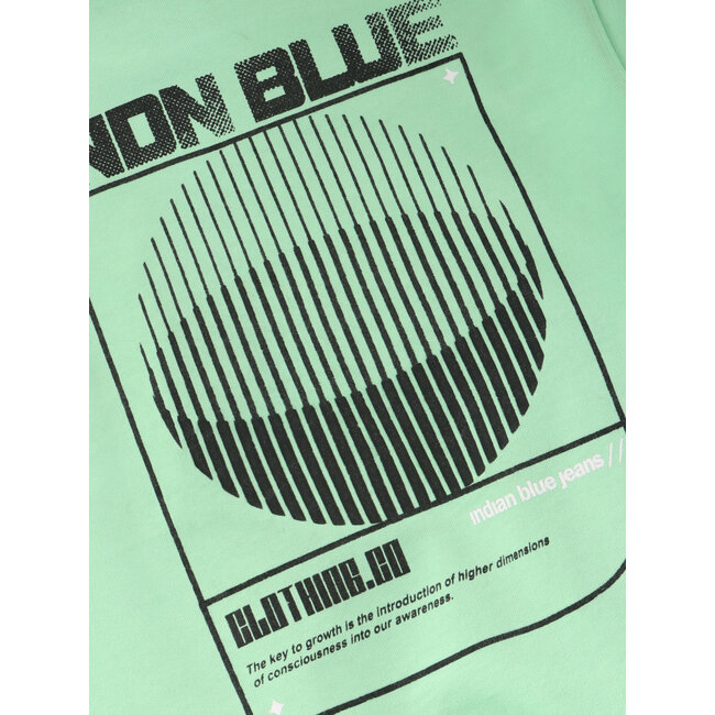 Loose Fit Sweat IND Washed Green 9316 Fresh Green