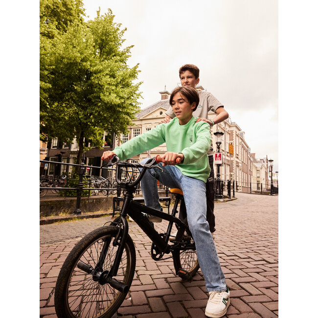 Loose Fit Sweat IND Washed Green 9316 Fresh Green