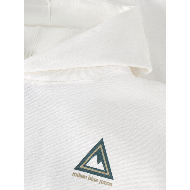 Loose Fit Hoodie Backprint  White 1103 Cloud