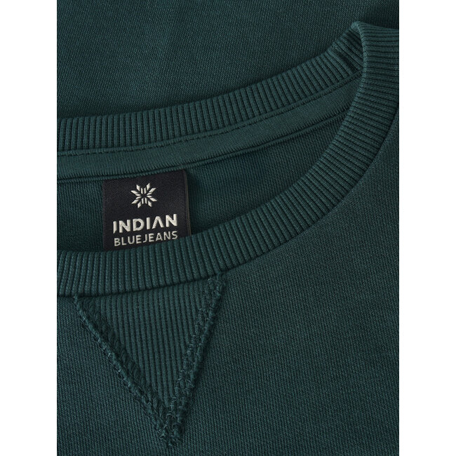 Loose Fit T-Shirt LS AW Sleeve Green 9777 Ponderosa Pine