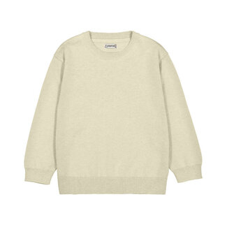 Mayoral Basic crew neck jumper        54 Oat vig