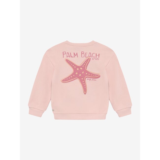 Sweater Backprint Rose 5507 Silver Pink