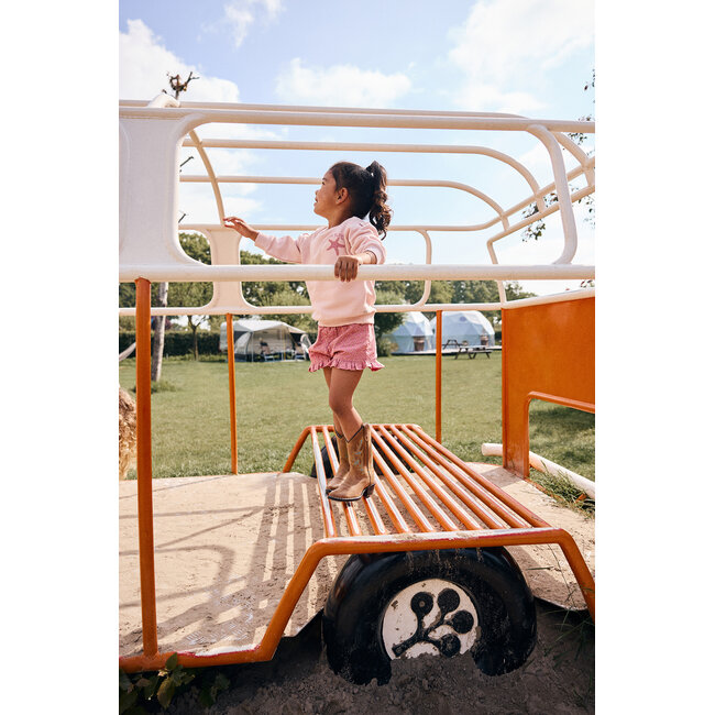 Sweater Backprint Rose 5507 Silver Pink