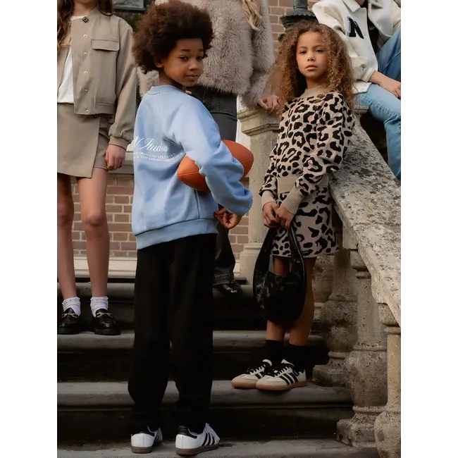 Phoenix Oversized Sweatshirt 7126 Steel Blue