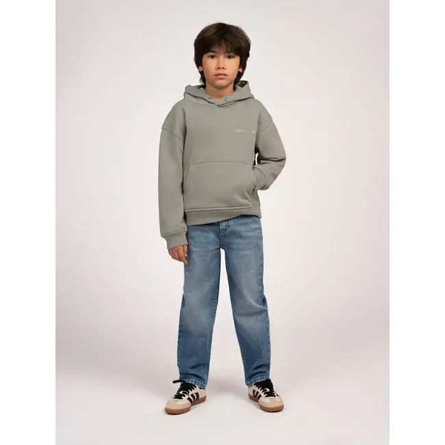 Boston Hoodie 6718 Castor Green