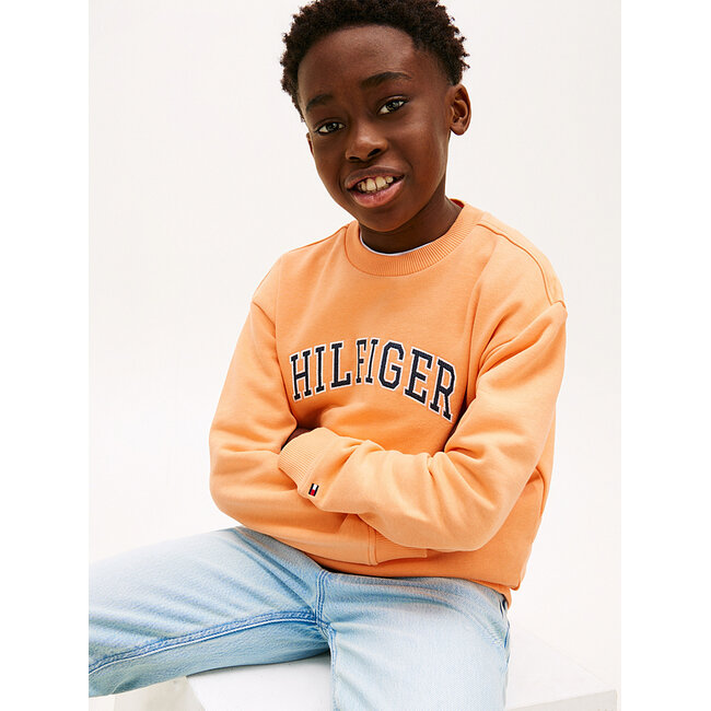 HILFIGER VARSITY SWE, SEV SEV Faded Sun Kiss