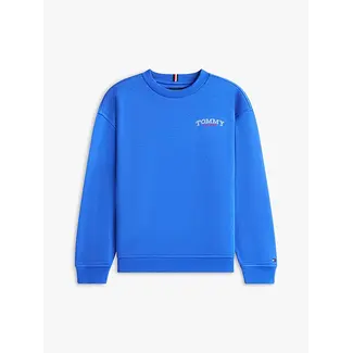 Tommy Hilfiger MONOTYPE GRAPHIC SWE, C6H C6H Empire Blue