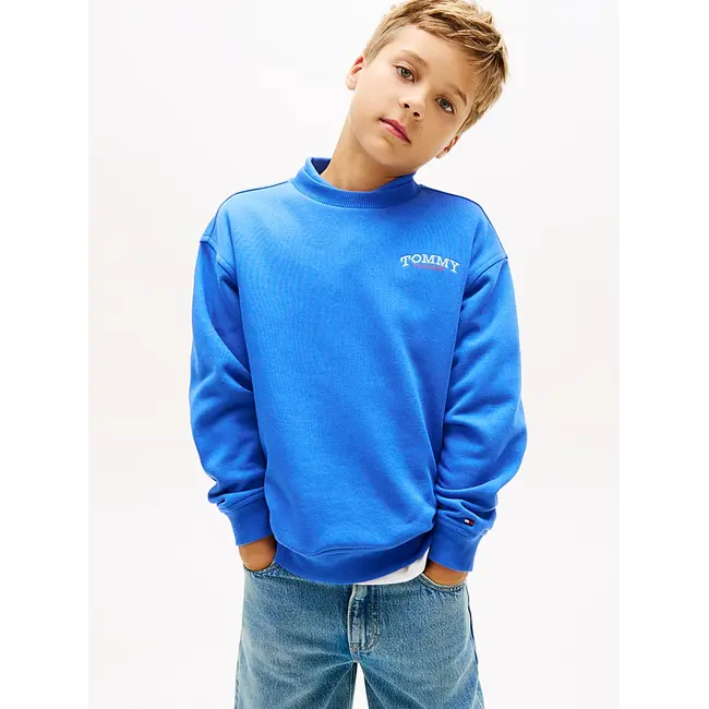 MONOTYPE GRAPHIC SWE, C6H C6H Empire Blue