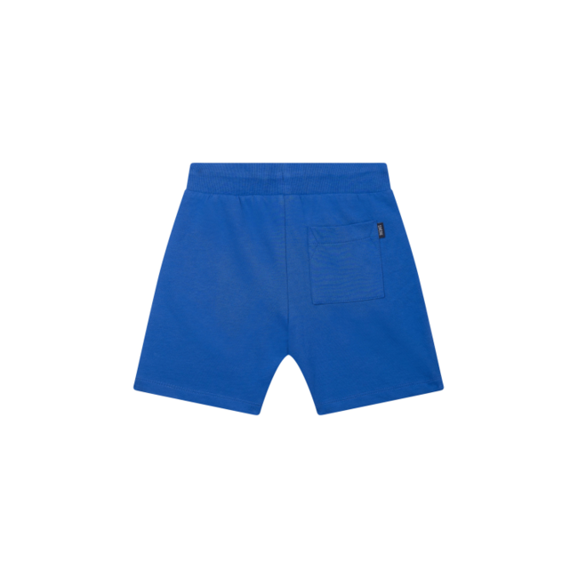 NIBBLE-SB-34-E KOBALT