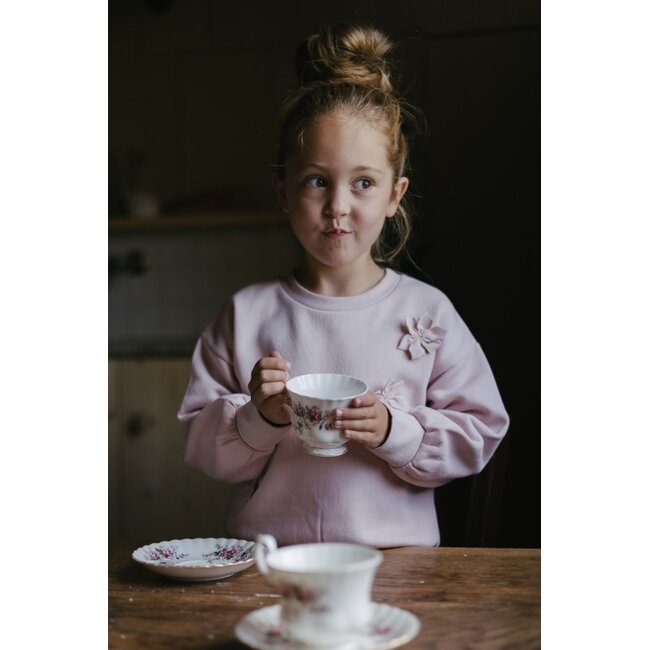 LS262BESS Sweater 4008 Pink Blush