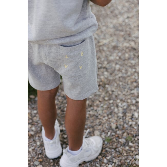 LS262BRADLEY Pants 9012 Grey Melee