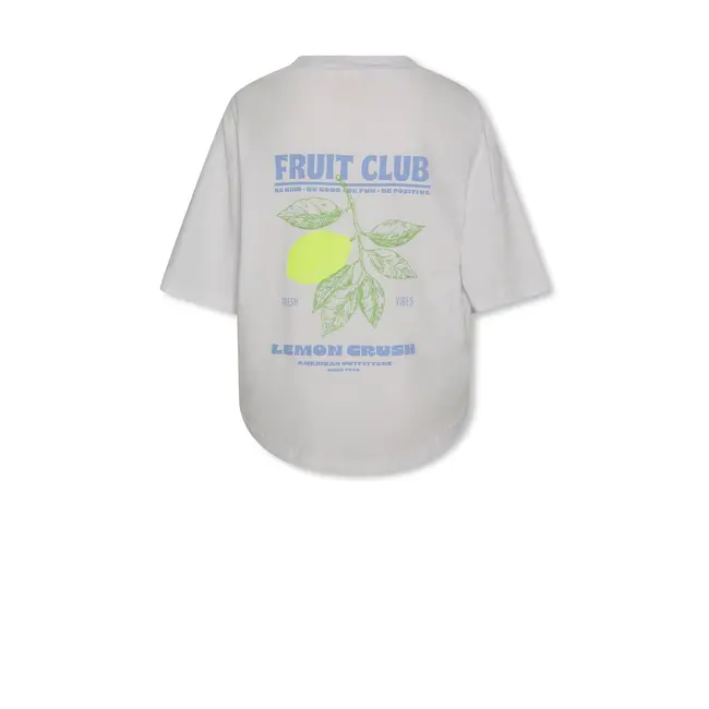 true t-shirt fresh  000100 - white