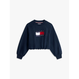 Tommy Hilfiger TOMMY WAVE FLAG CREW, C1G C1G Dark Night Navy