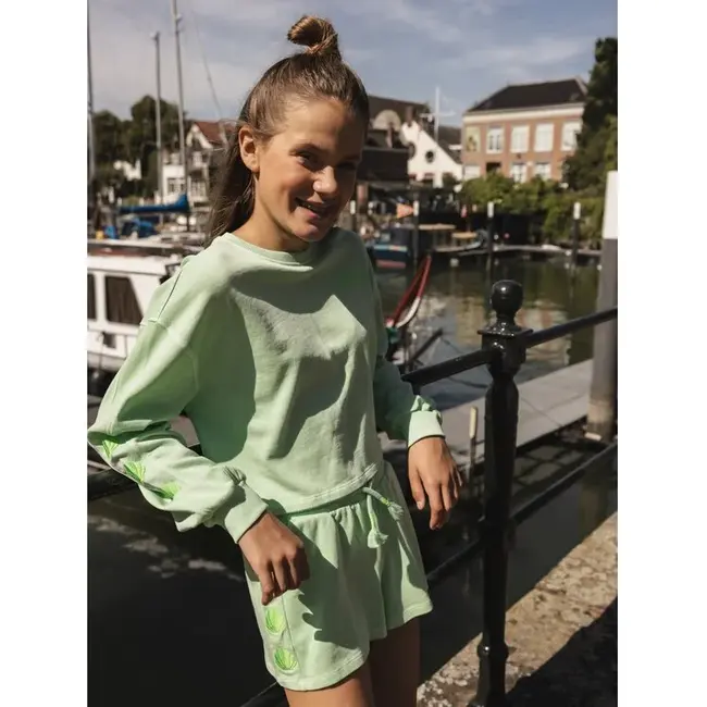 10sixteen Shorts 309 Sea green