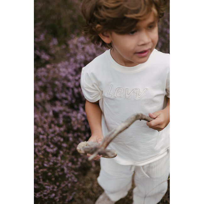 Shirt 868024 White Pearl