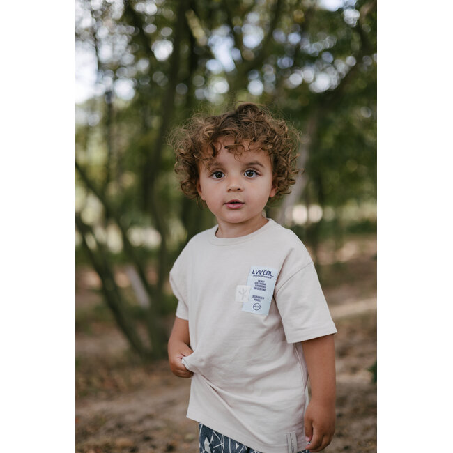 Shirt 980803 Light Grey