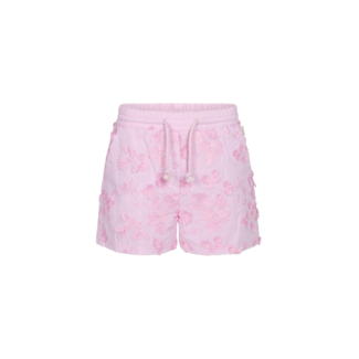 AI&KO MERLINE FLOWER CO 511 G CO 511  152215-BEGONIAPINK