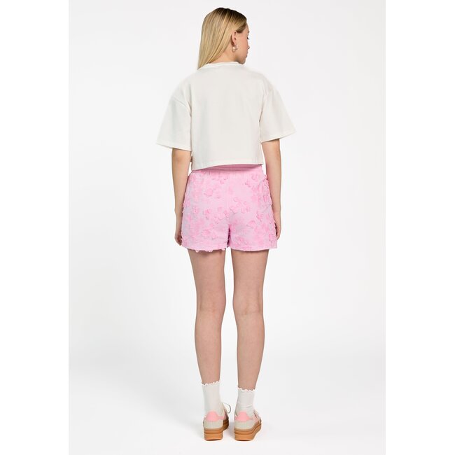 MERLINE FLOWER CO 511 G CO 511  152215-BEGONIAPINK