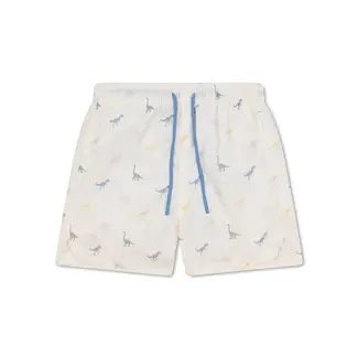 Swim Essentials Swim Shorts-Multicolor-Dino