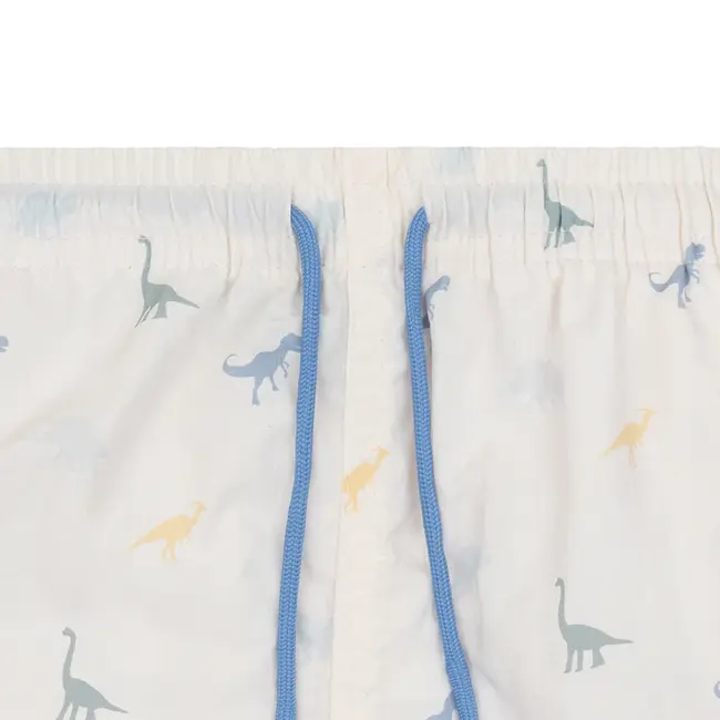 Swim Shorts-Multicolor-Dino
