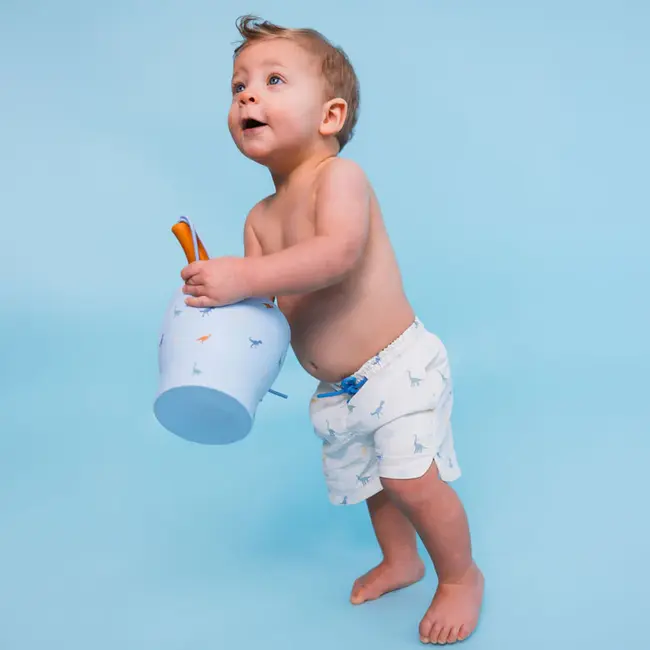 Swim Shorts-Multicolor-Dino