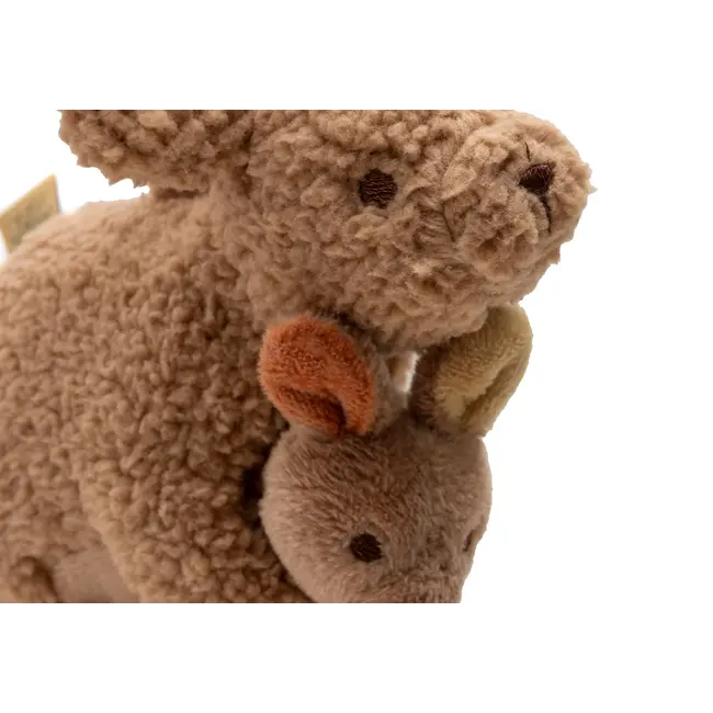 Wagenhanger Kangaroots