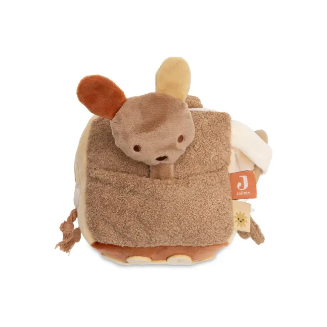 Activiteitenkubus Kangaroots