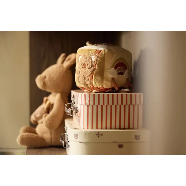 Activiteitenkubus Kangaroots