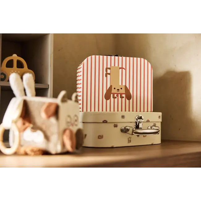 Speelkoffertje Animal Friends