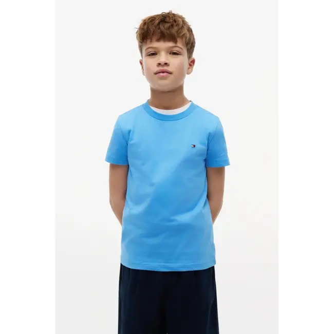 TONAL FLAG GRAPHIC T, C39/Copenhagen Blue