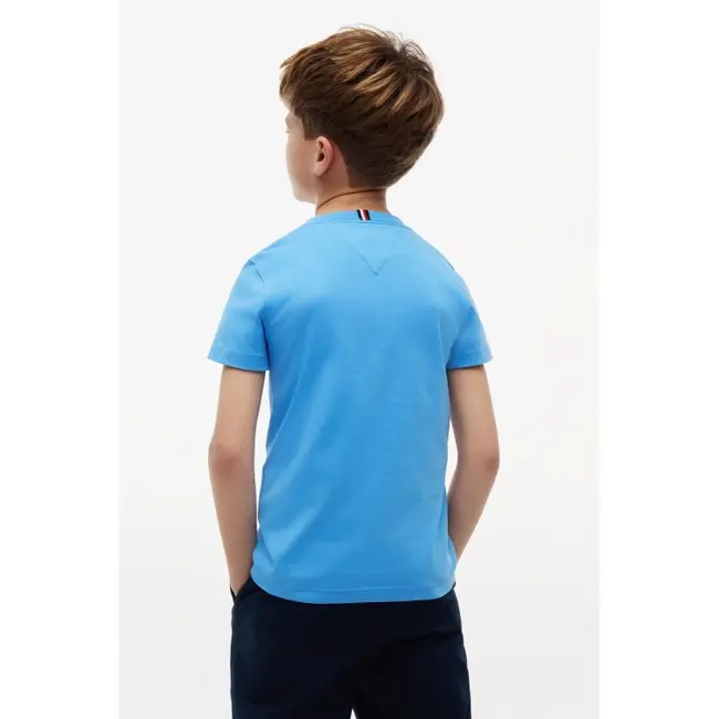 TONAL FLAG GRAPHIC T, C39/Copenhagen Blue