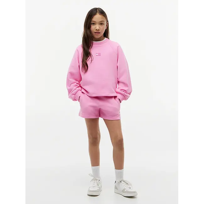 TONAL FLAG SWEATSHOR, TOU/Pink Daisy