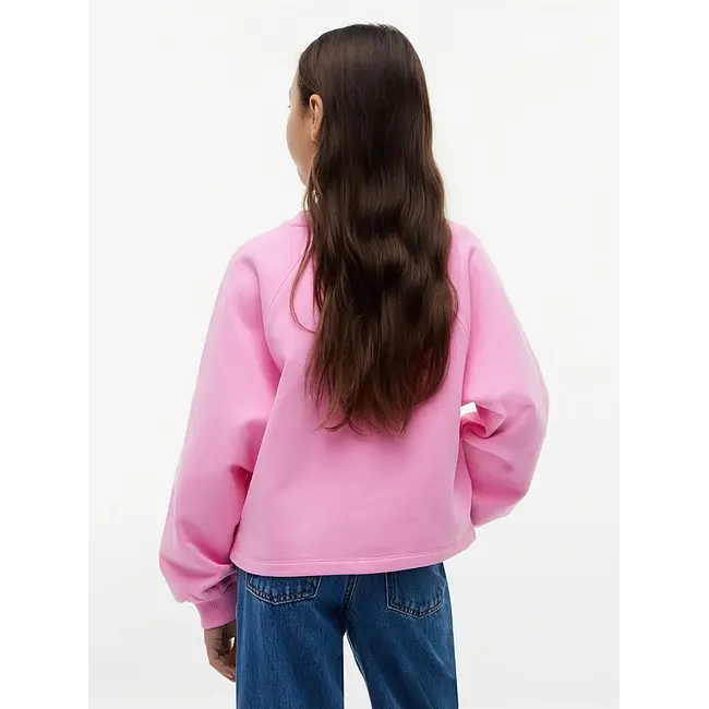 TONAL FLAG RAGLAN CR, TOU/Pink Daisy