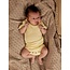 NBFHALDIS SSSlim Body Sunlight