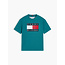 HERITAGE PRINTED FLA, CT3/Platinum Teal