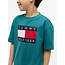 HERITAGE PRINTED FLA, CT3/Platinum Teal