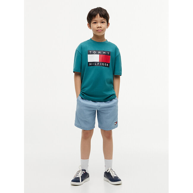 HERITAGE PRINTED FLA, CT3/Platinum Teal