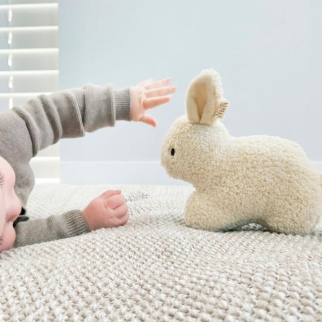 Recycled Rabbit Cuddle
