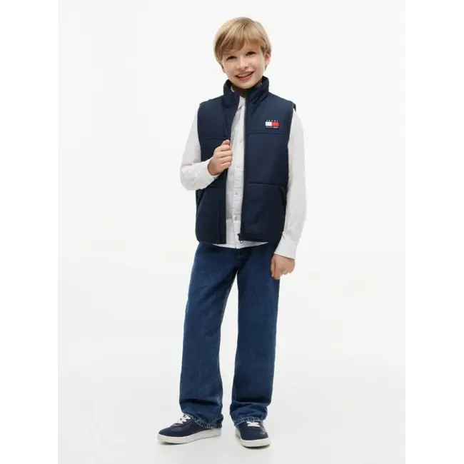 GRAPHIC VEST, C1G/Dark Night Navy